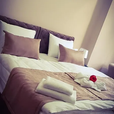 Belga Boutique Panzio Hotel