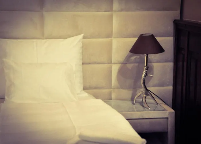 Belga Boutique Panzio 3* Ντέμπρετσεν